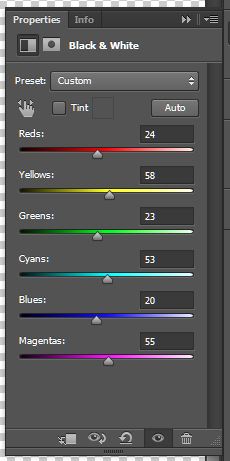 How to Create Brushes from Photographs 11